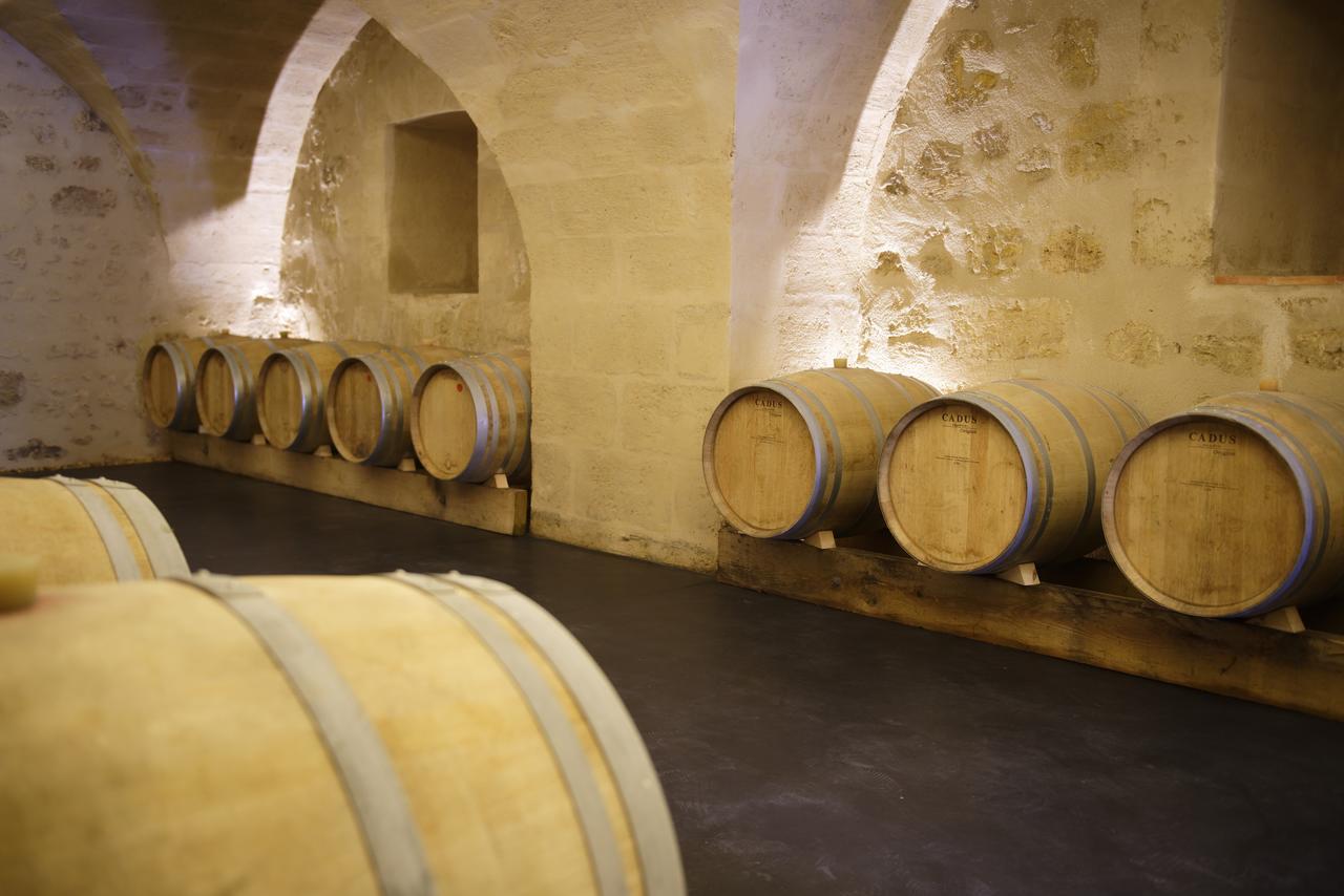 Chambres d'hôtes de Château Renon Tabanac Exterior foto